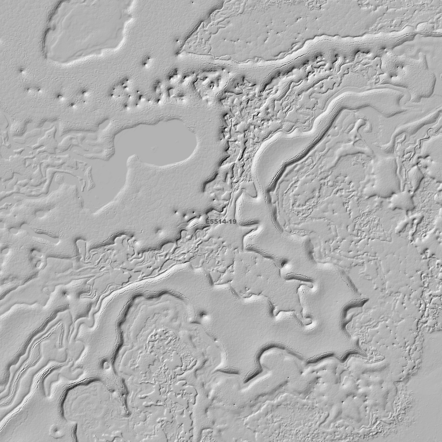 Southwick 1m Digital Elevation Model (E5514-19)