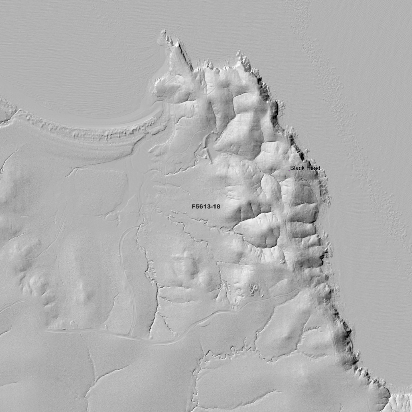 Black Head 1m Digital Elevation Model (F5613-18)