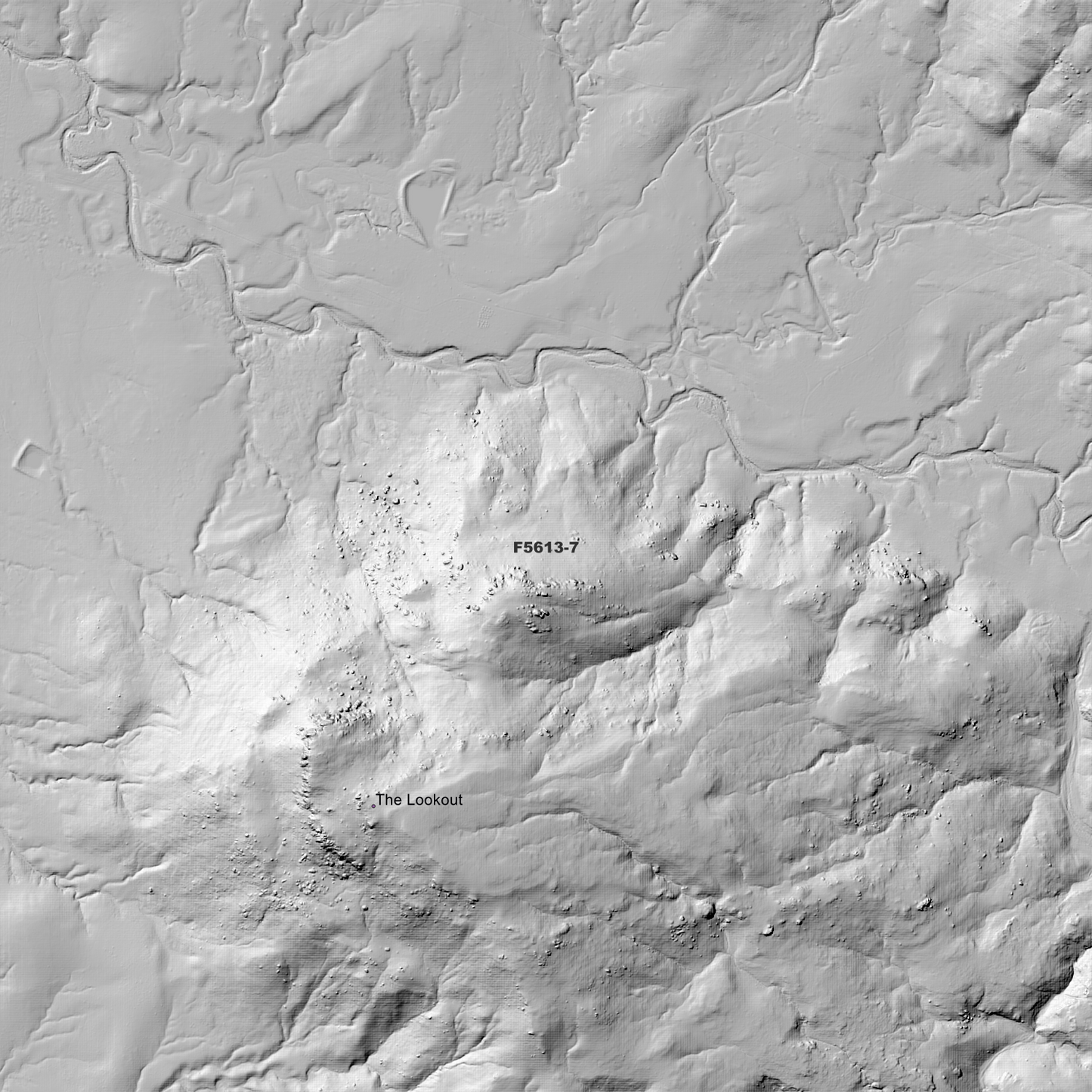 The Lookout 1m Digital Elevation Model (F5613-7)
