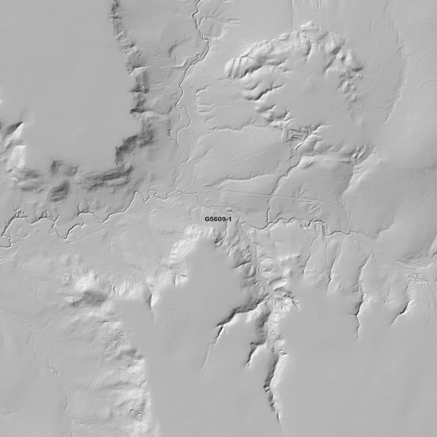 Roche Creek 1m Digital Elevation Model (G5609-1)