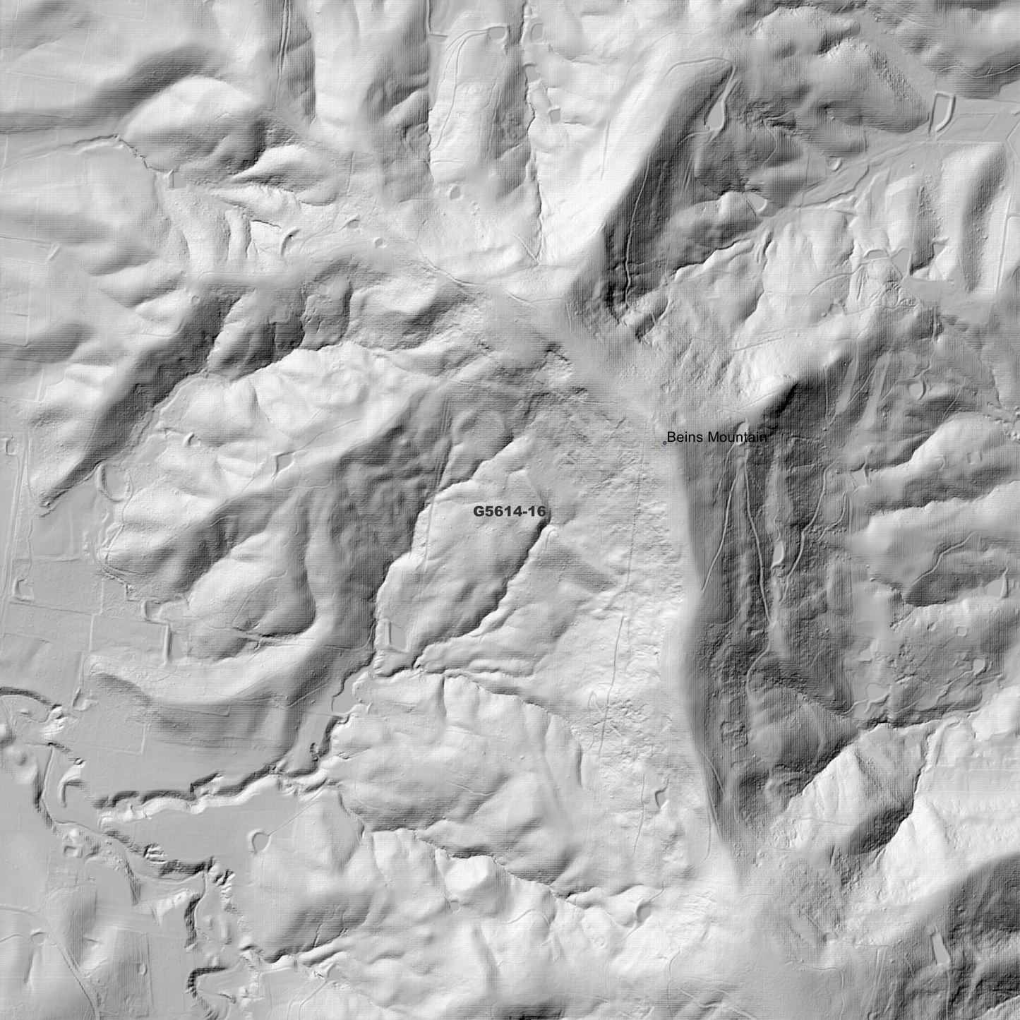 Laidley 1m Digital Elevation Model (G5614-16)