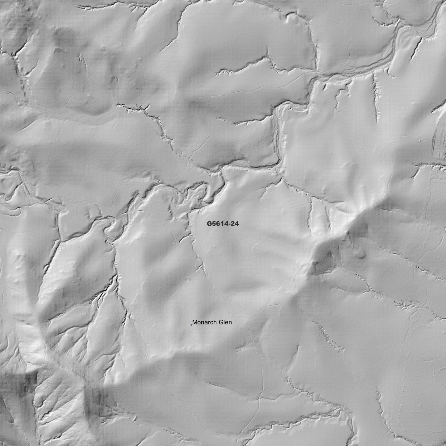 Beaudesert 1m Digital Elevation Model (G5614-24)