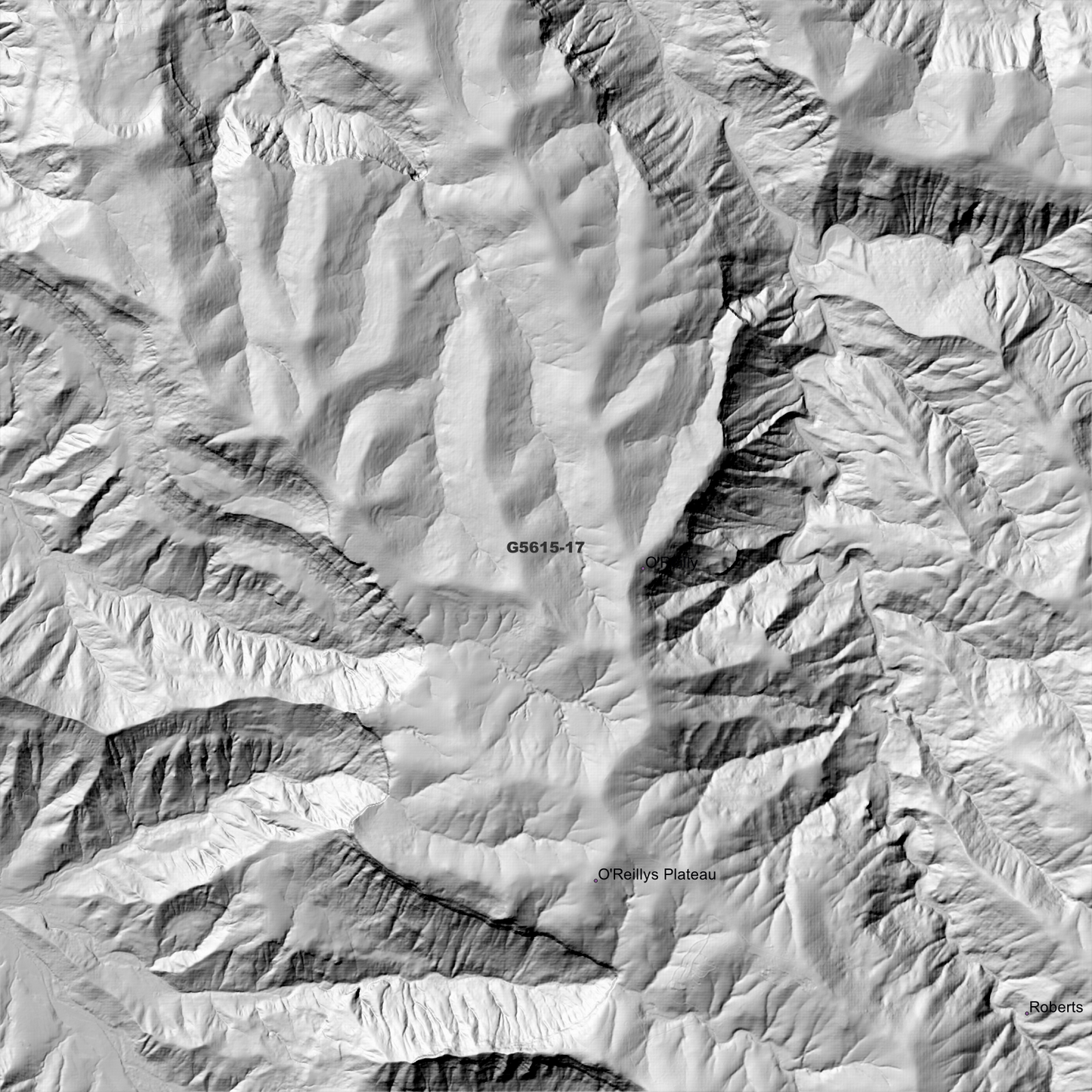 Binna 1m Digital Elevation Model (G5615-17)