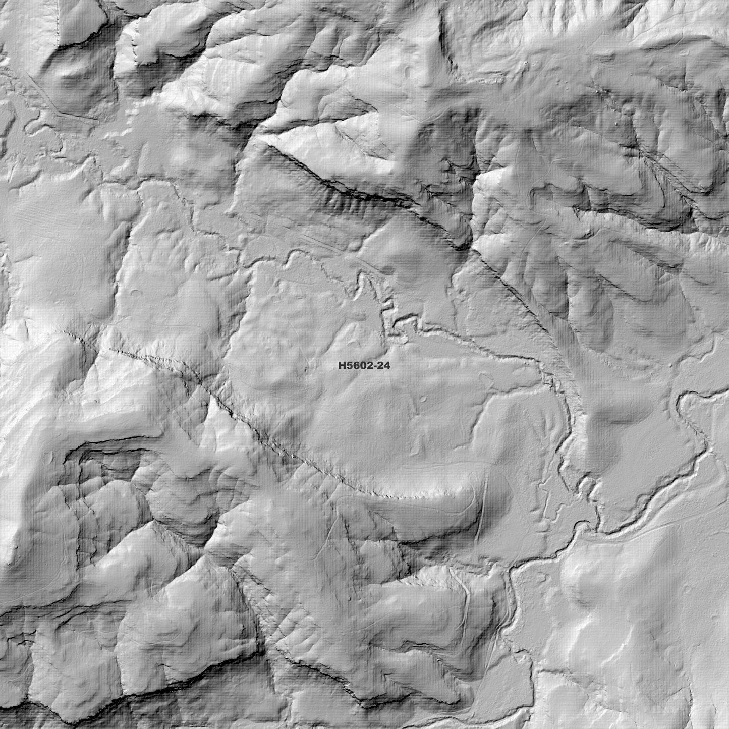 Stratheden 1m Digital Elevation Model (H5602-24)
