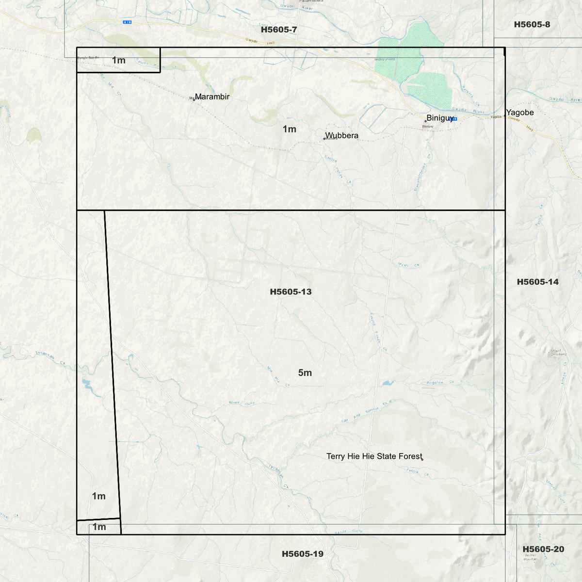 Biniguy 1m & 5m Digital Elevation Models (H5605-13)