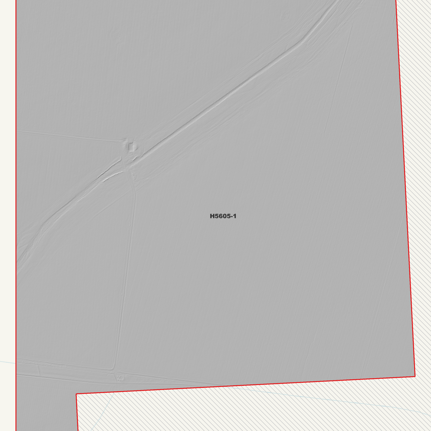 Terlings Camp 1m Digital Elevation Model (H5605-1)