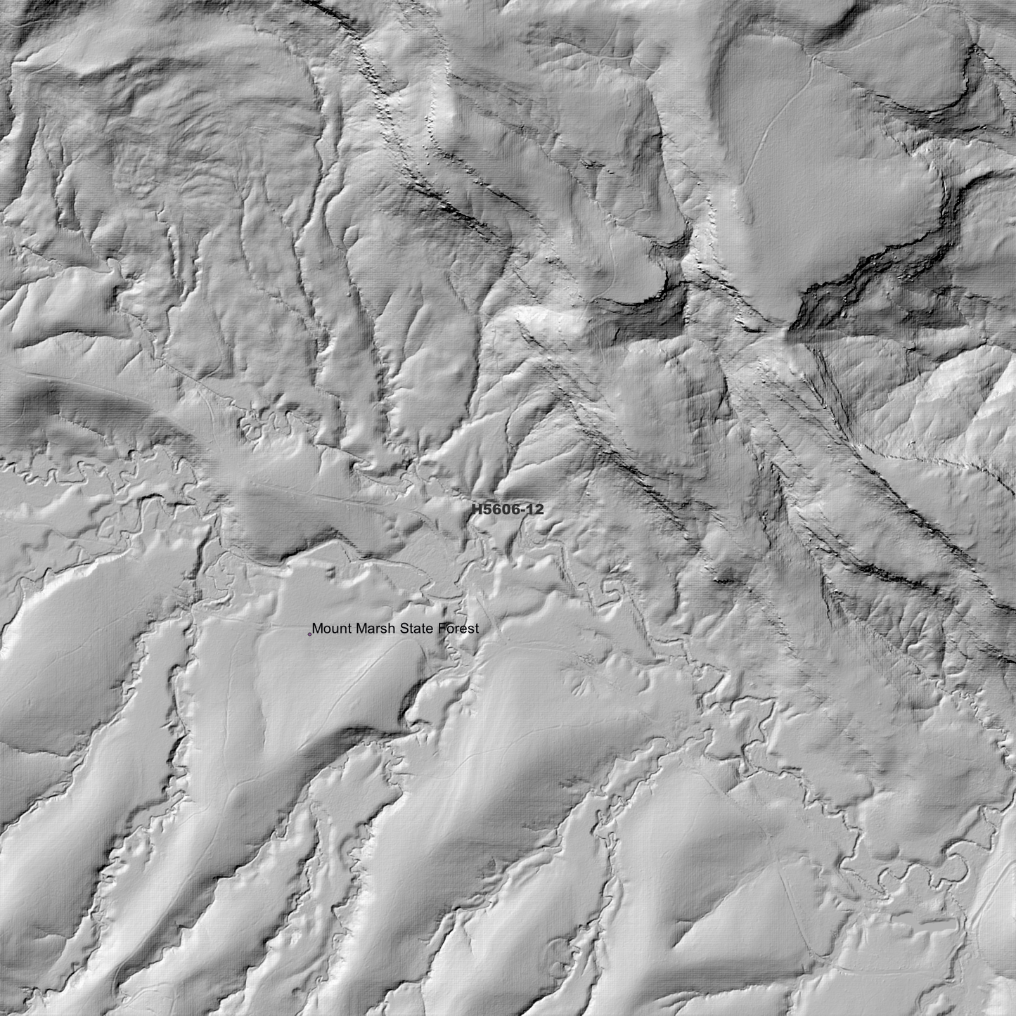 Coaldale 1m Digital Elevation Model (H5606-12)