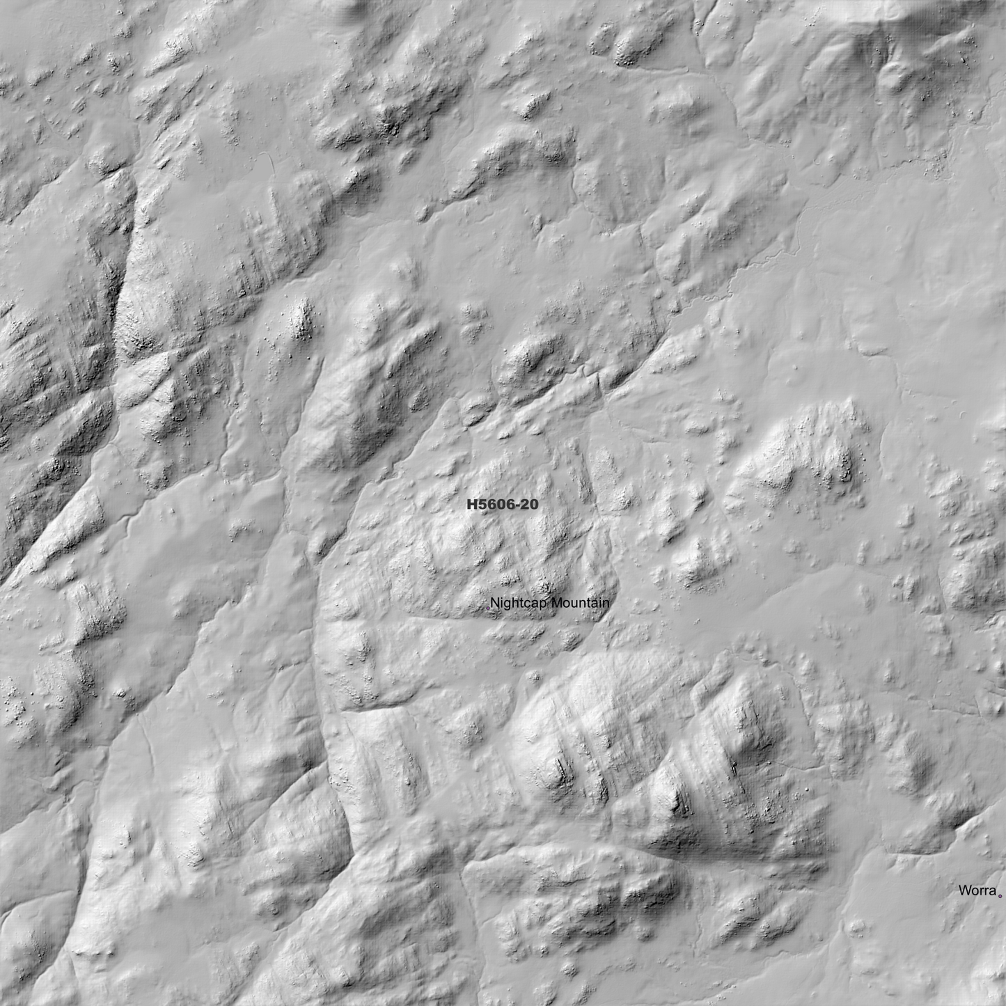 Pinkett 1m Digital Elevation Model (H5606-20)