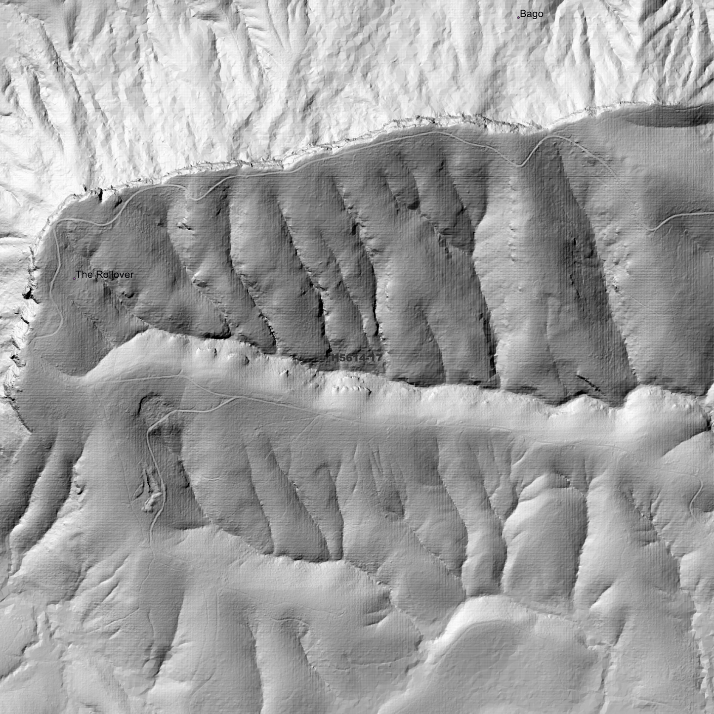 Waitui 1m Digital Elevation Model (H5614-17)