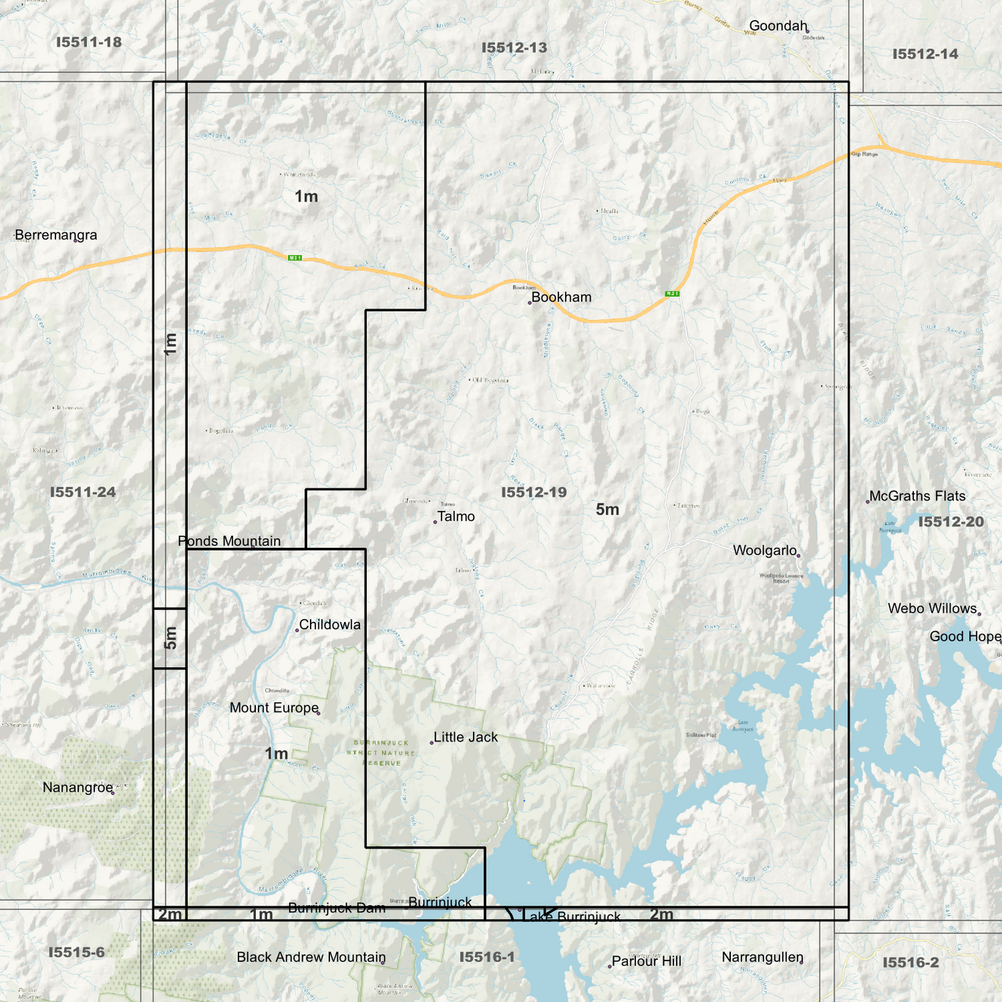 Bookham 1m & 5m Digital Elevation Models (I5512-19)