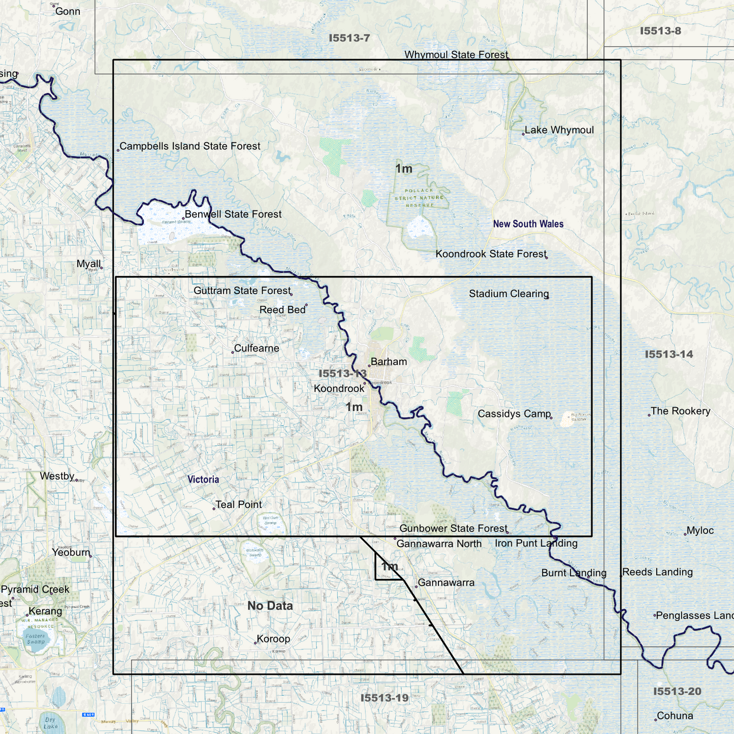 Barham 1m Digital Elevation Models (I5513-13)