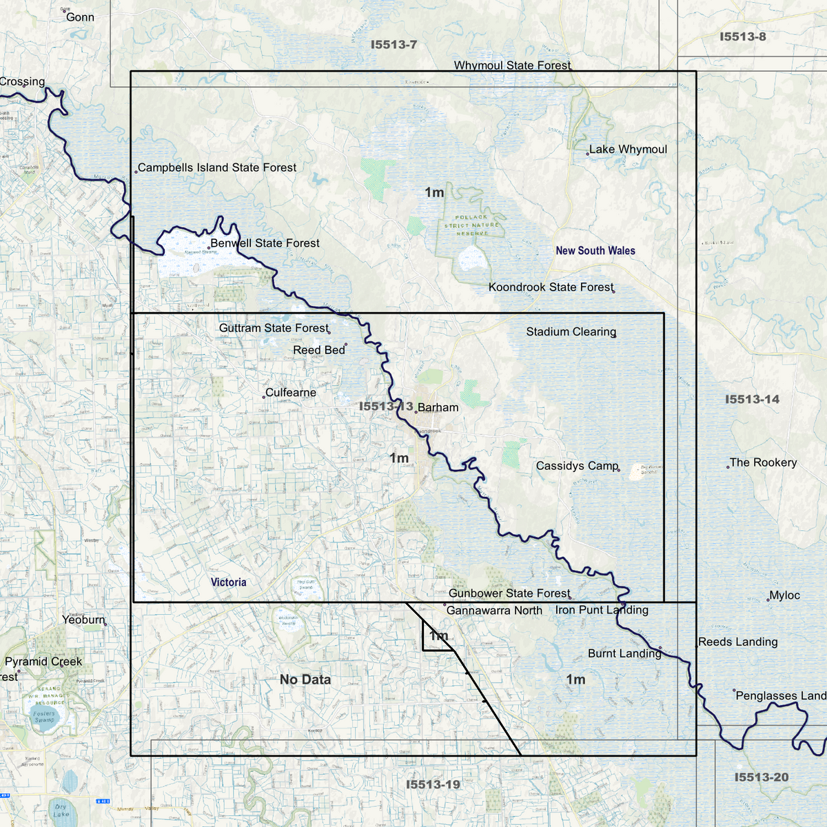 Barham 1m Digital Elevation Models (I5513-13)