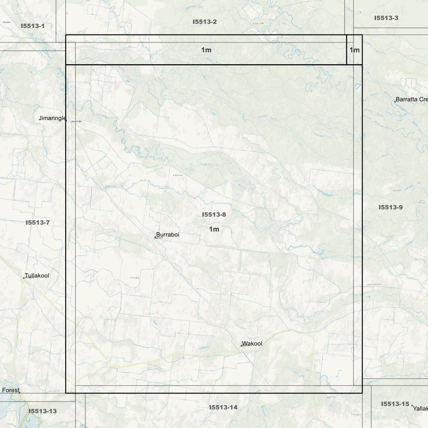 Wakool 1m Digital Elevation Models (I5513-8)