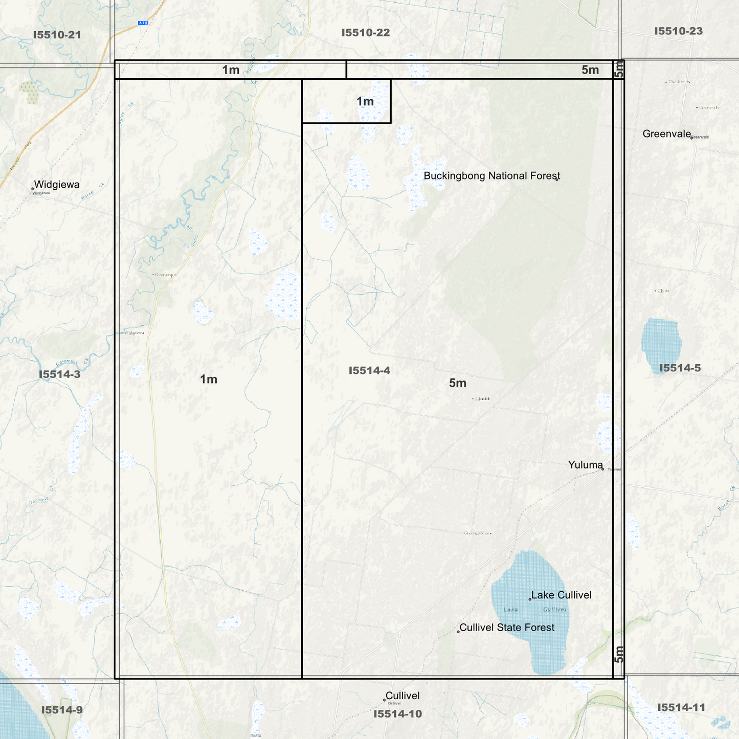 Buckingbong 1m & 5m Digital Elevation Models (I5514-4)