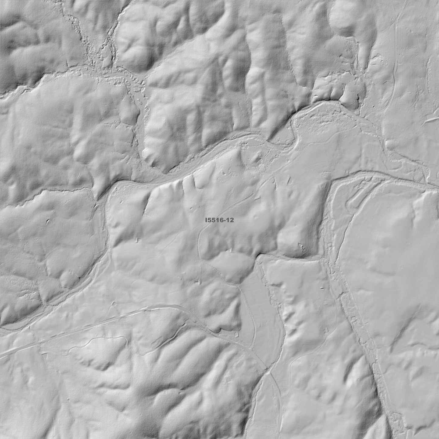 Braidwood 1m Digital Elevation Model (I5516-12)
