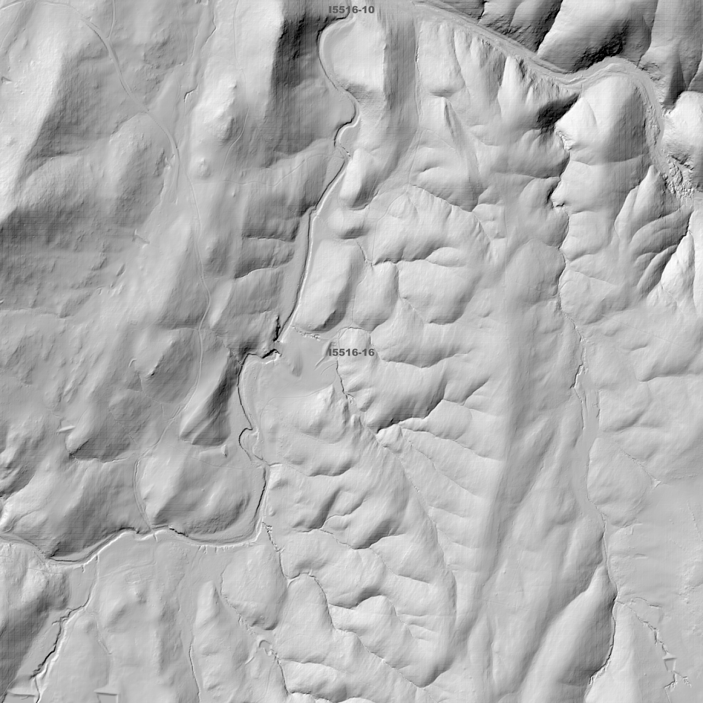 Captains Flat 1m Digital Elevation Model (I5516-16)