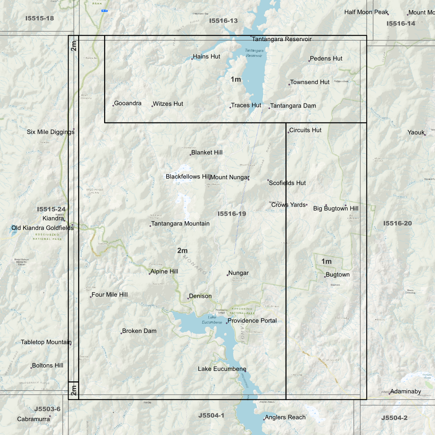 Bugtown 1m & 2m Digital Elevation Models (I5516-19)