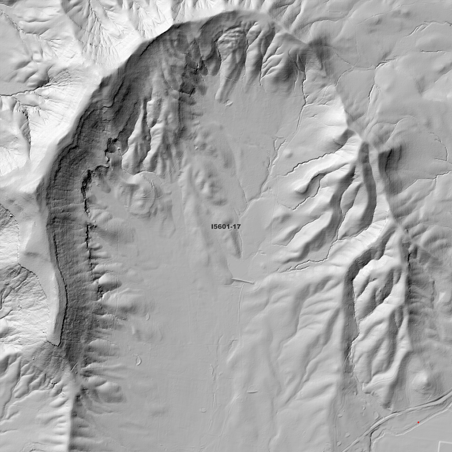 Singleton 1m Digital Elevation Model (I5601-17)
