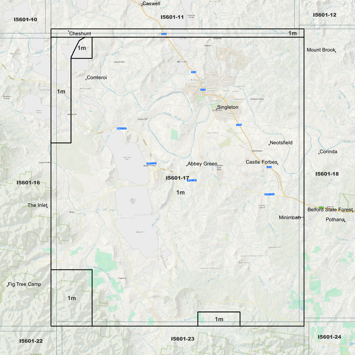 Singleton 1m Digital Elevation Models (I5601-17)