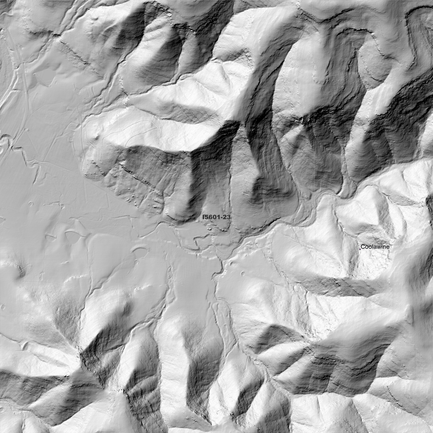 Wollombi 1m Digital Elevation Model (I5601-23)