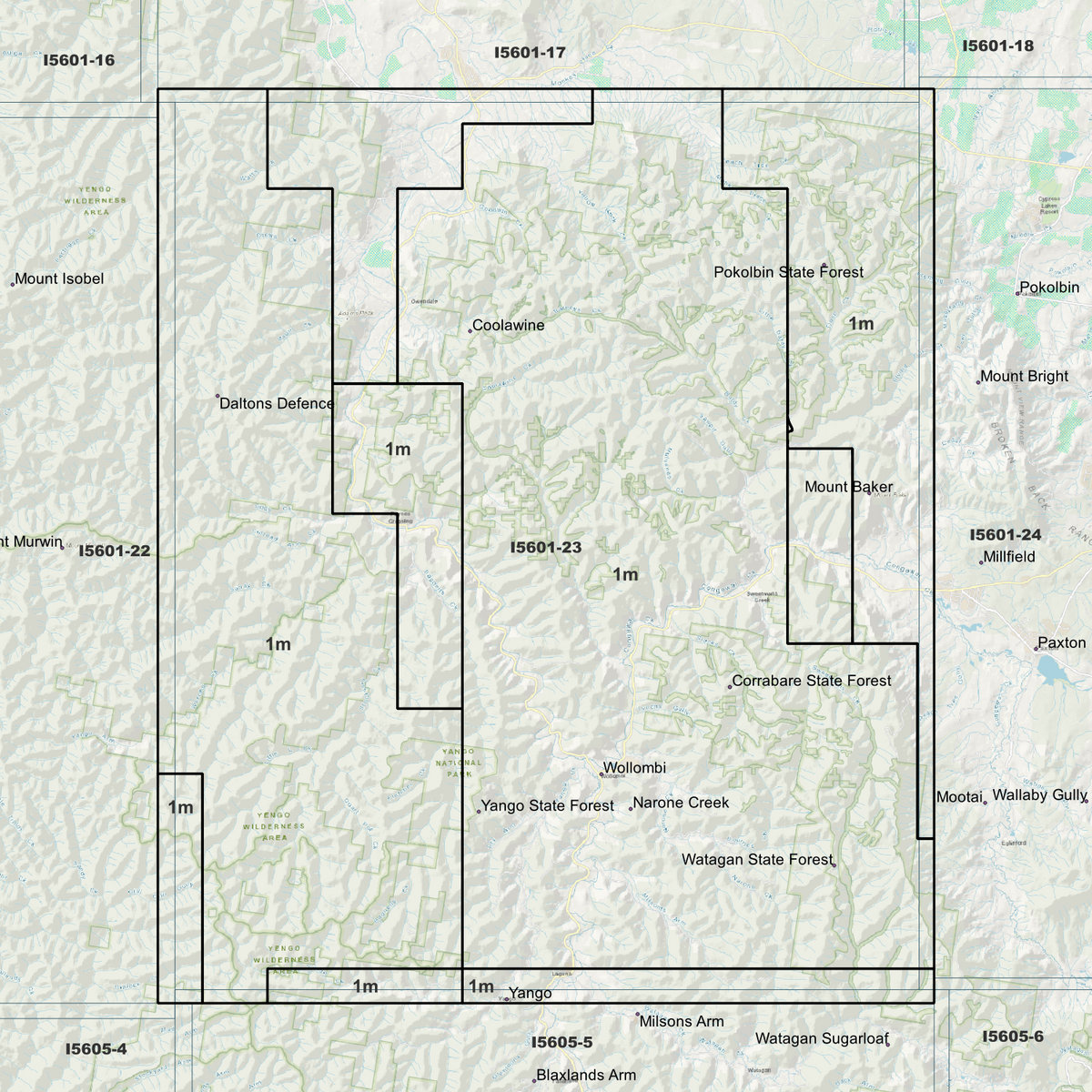 Wollombi 1m Digital Elevation Models (I5601-23)