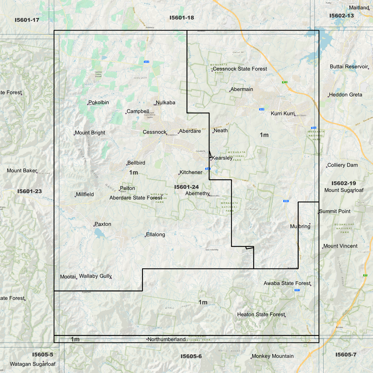 Cessnock 1m Digital Elevation Models (I5601-24)