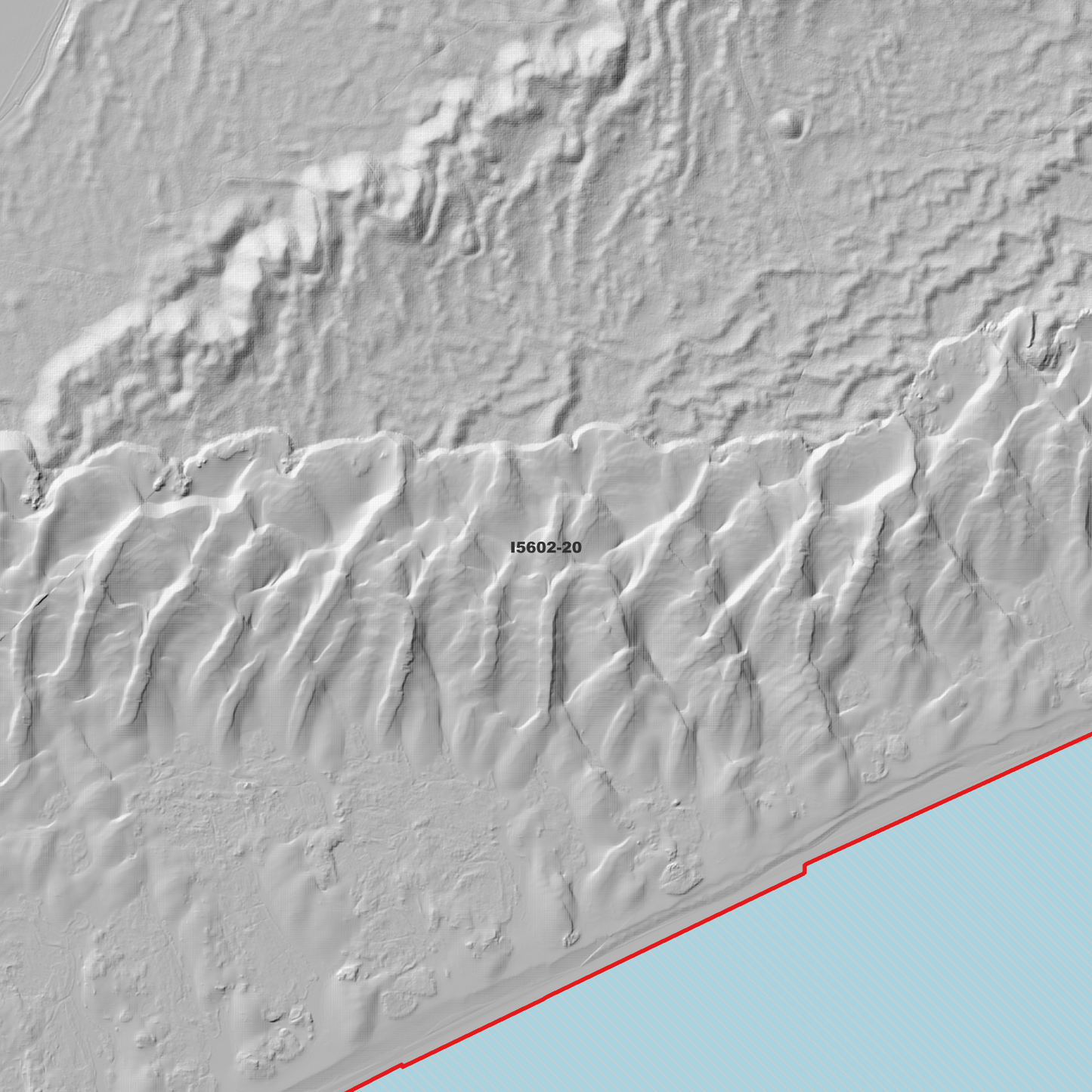 Newcastle 1m Digital Elevation Model (I5602-20)