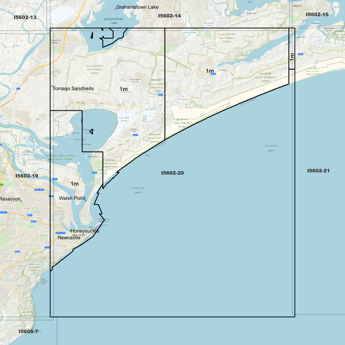 Newcastle 1m Digital Elevation Models (I5602-20)