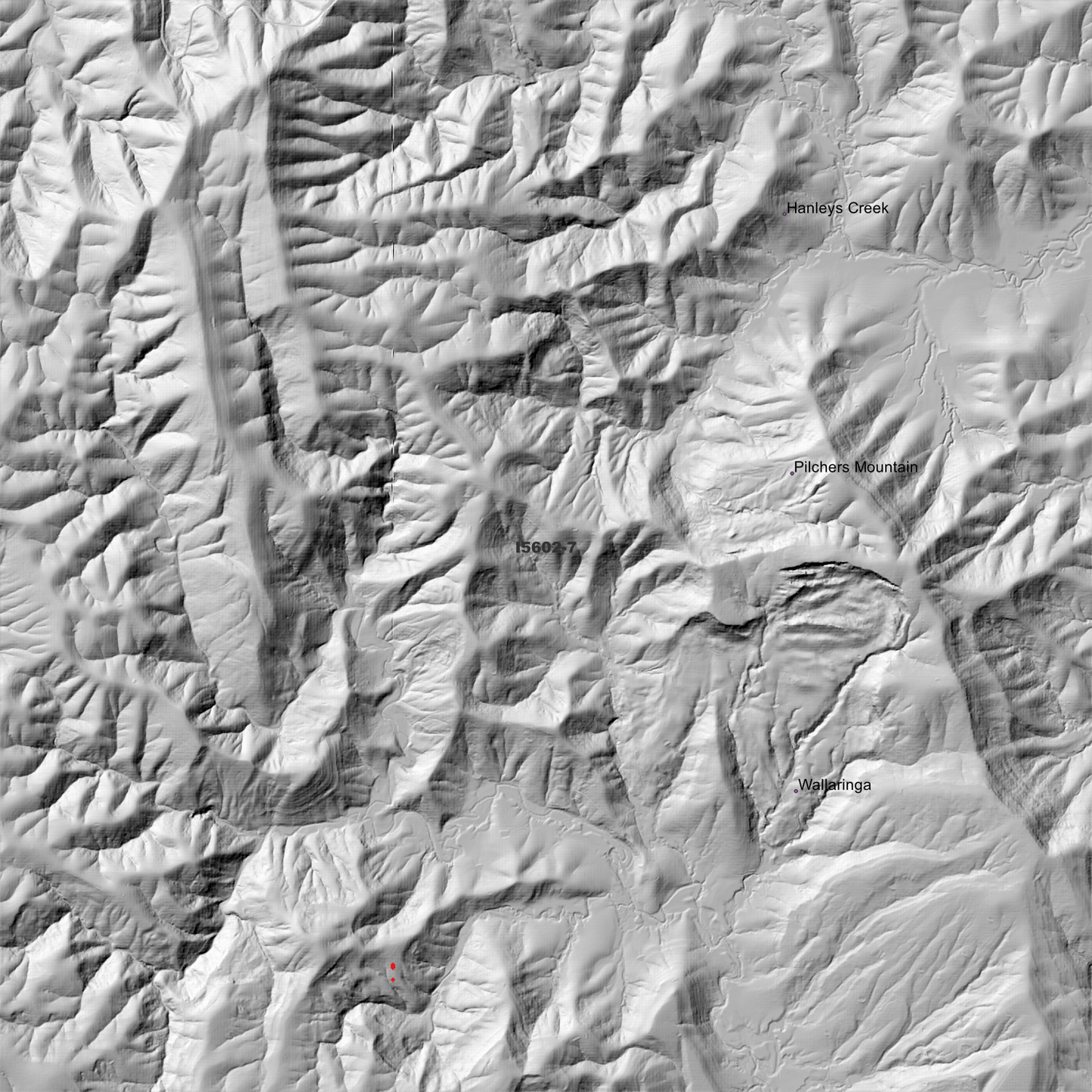 Gresford 1m Digital Elevation Model (I5602-7)