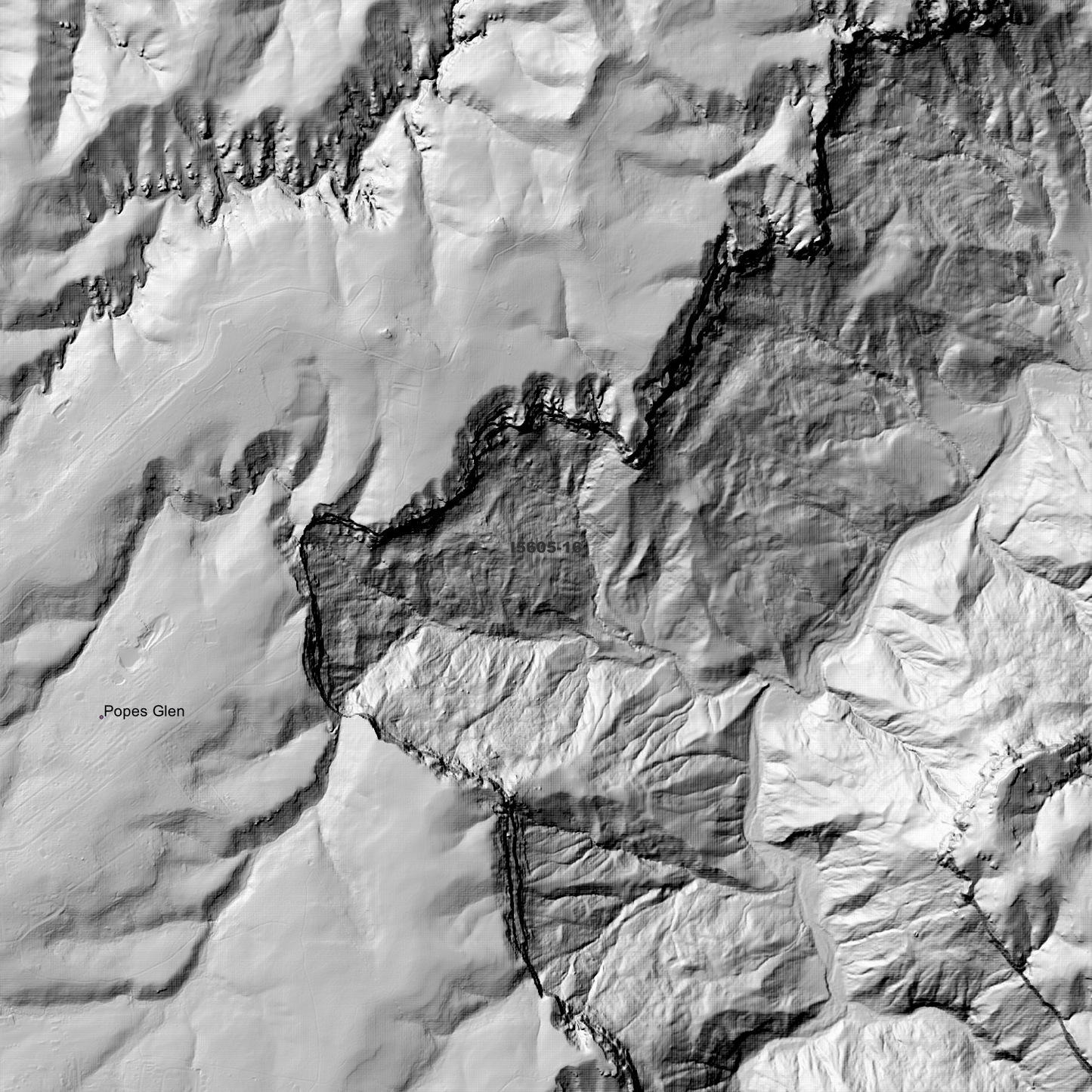 Katoomba 1m & 2m Digital Elevation Models (I5605-16)