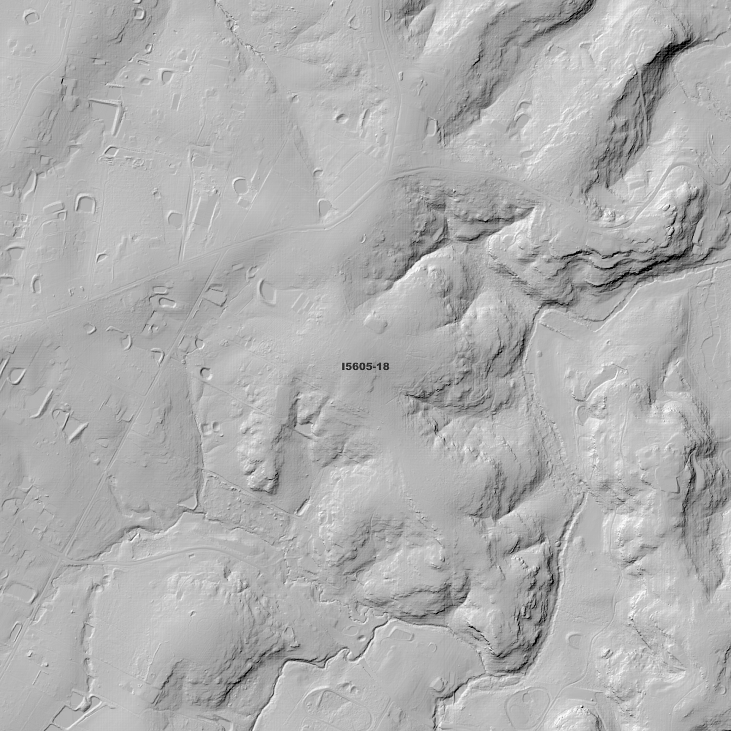 Windsor 1m Digital Elevation Model (I5605-18)