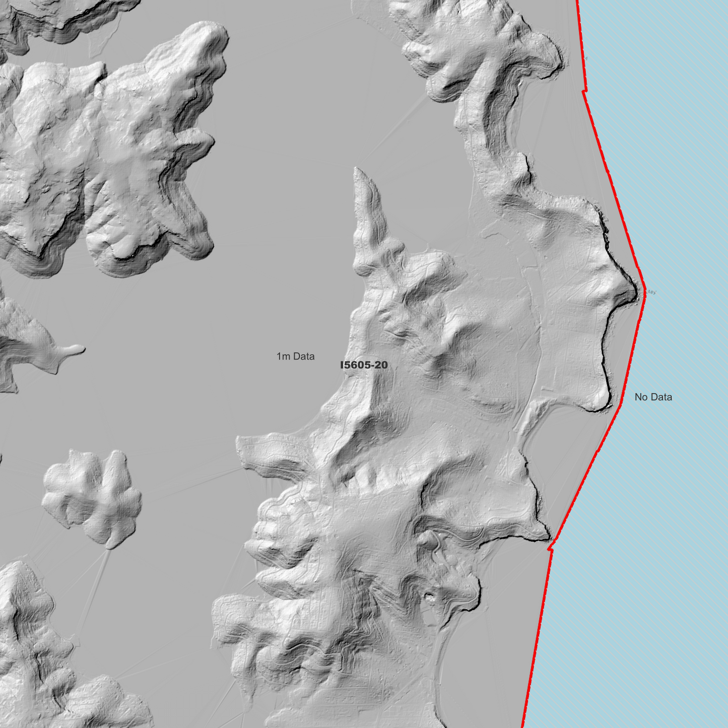 Newport 1m Digital Elevation Model (I5605-20)