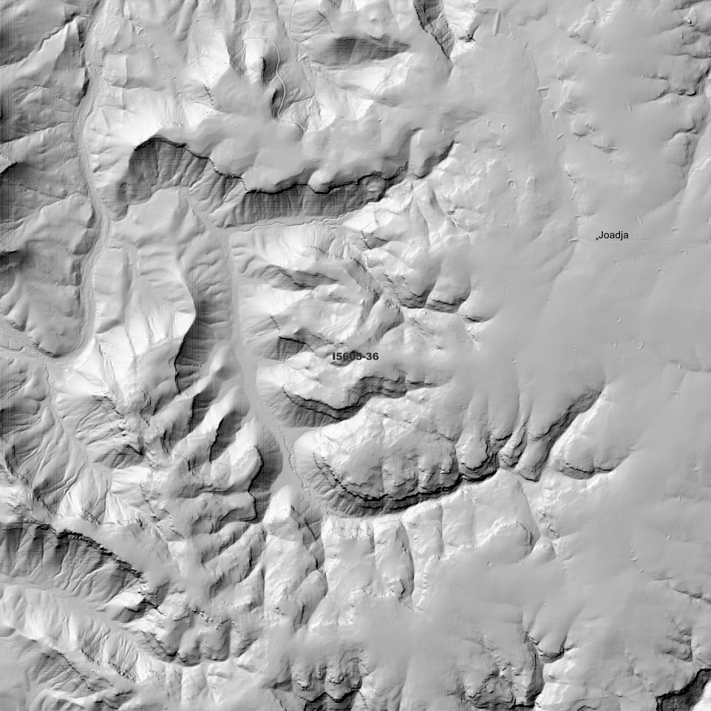 Bullio 1m & 2m Digital Elevation Models (I5605-36)