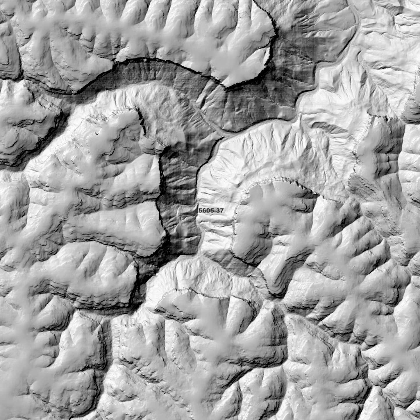 Bowral 1m & 2m Digital Elevation Models (I5605-37)