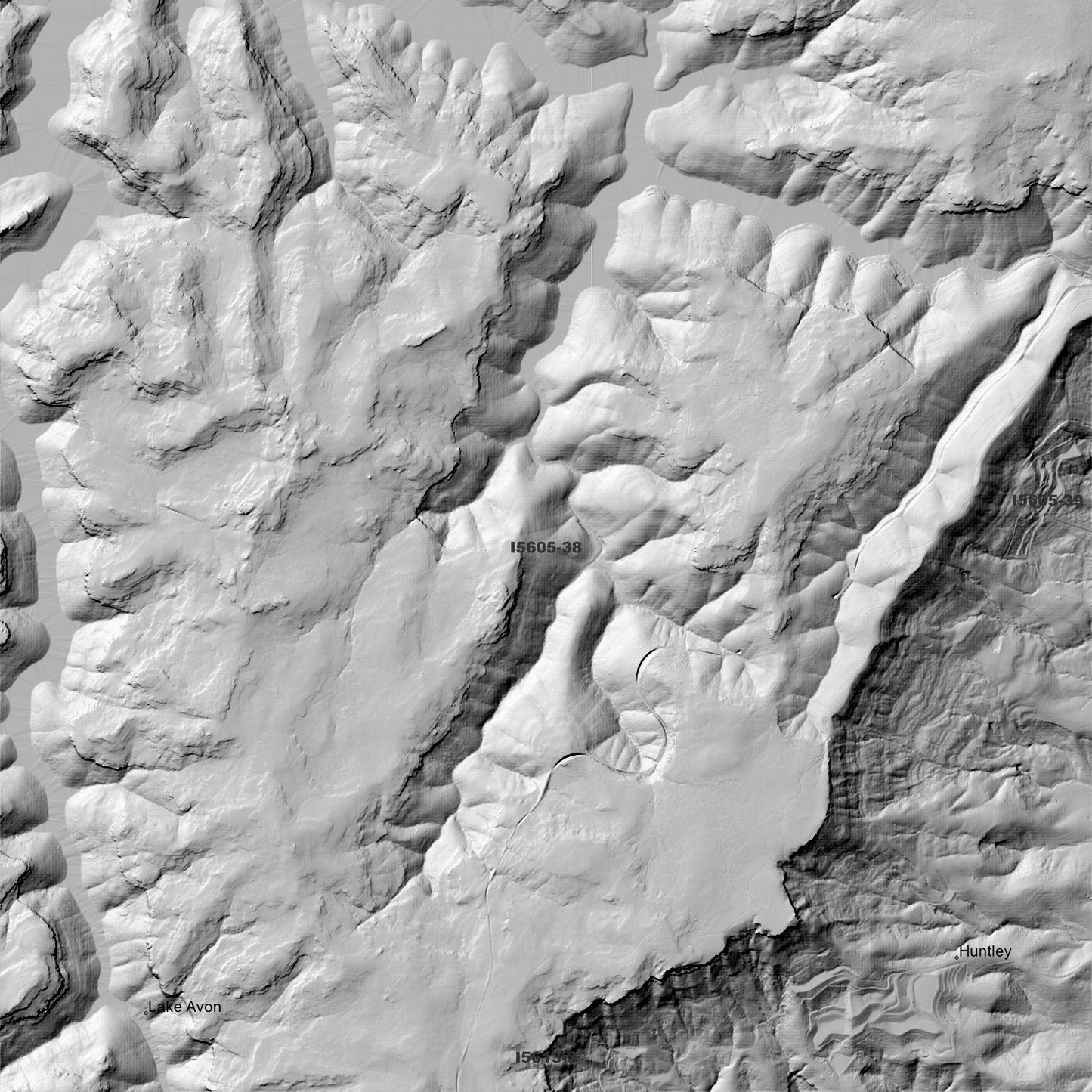 Bargo 1m Digital Elevation Model (I5605-38)