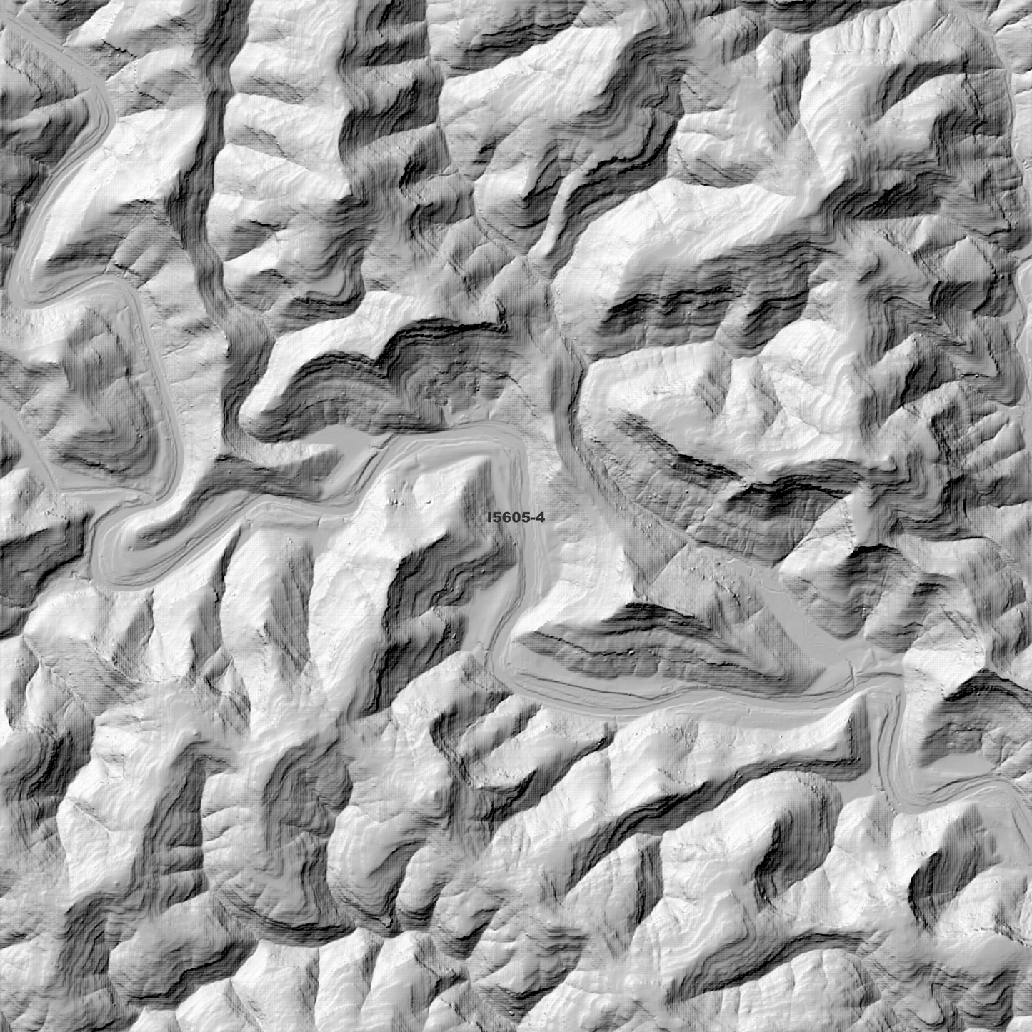 Bala 1m & 2m Digital Elevation Models (I5605-4)