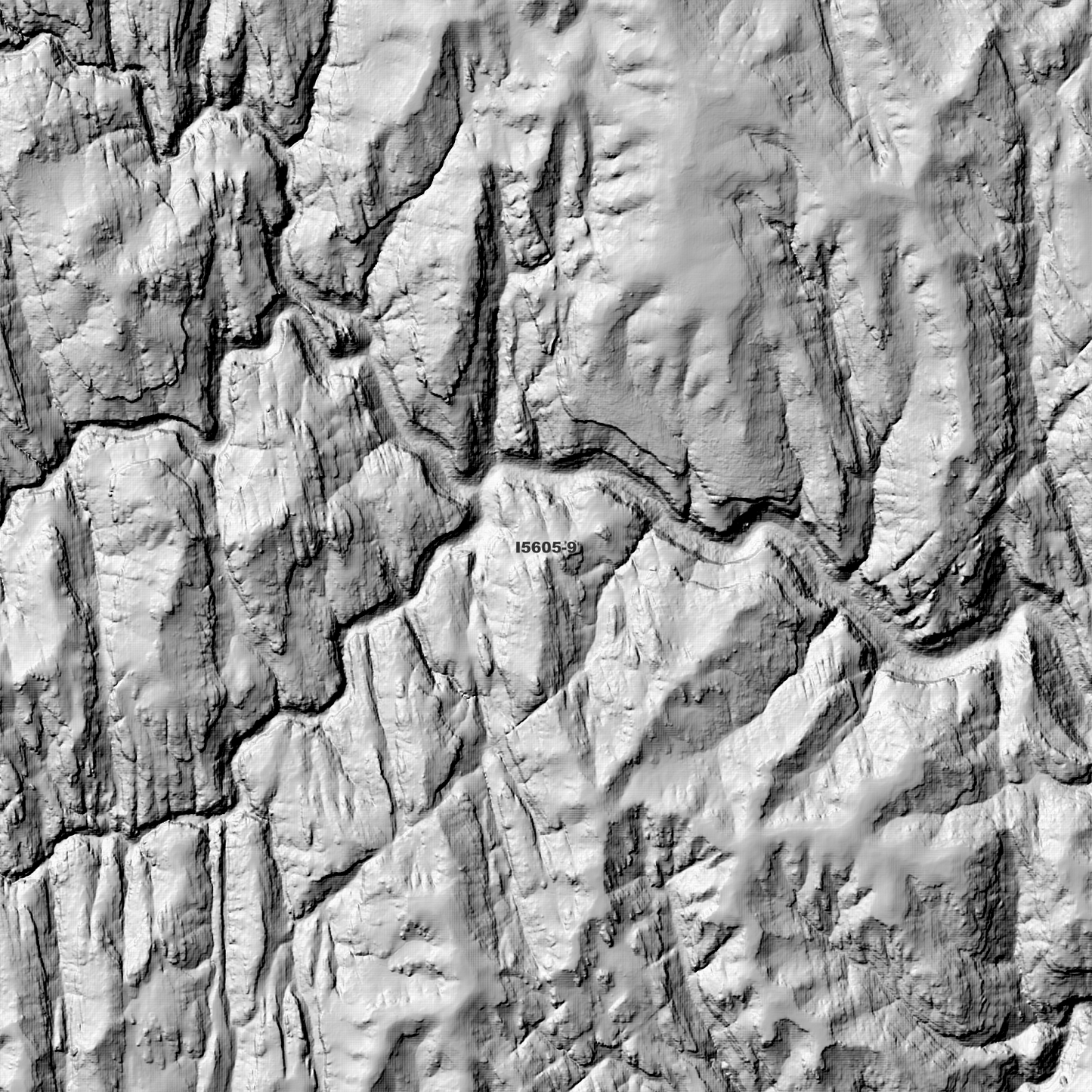 Wallangambe 1m & 2m Digital Elevation Models (I5605-9)