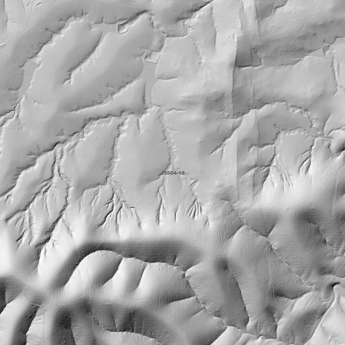Cobargo 1m Digital Elevation Model (J5504-13)