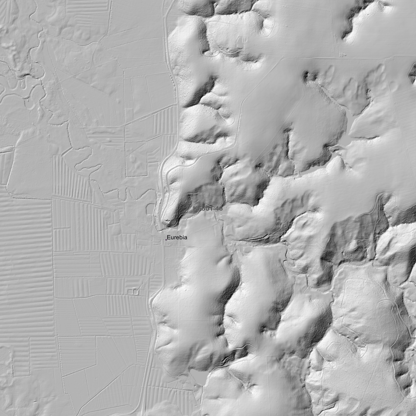 Smithton 1m Digital Elevation Model (K5501-46)