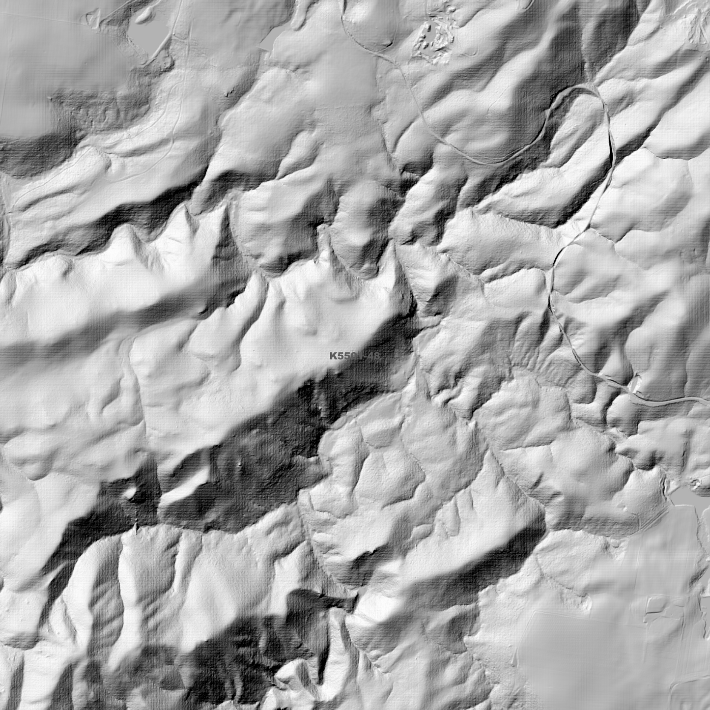 Wynyard 1m Digital Elevation Model (K5501-48)