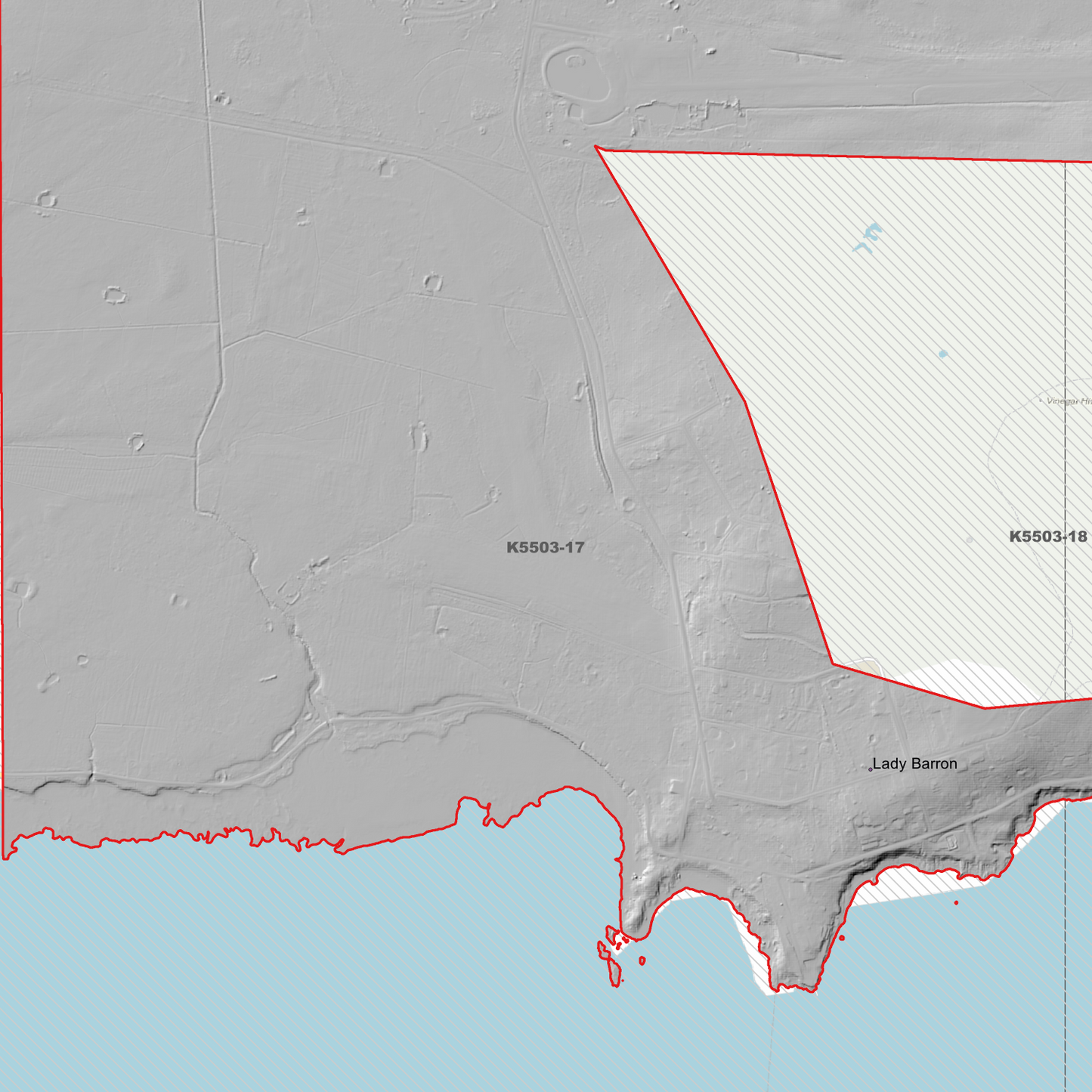 Lady Barron 1m Digital Elevation Model (K5503-17)