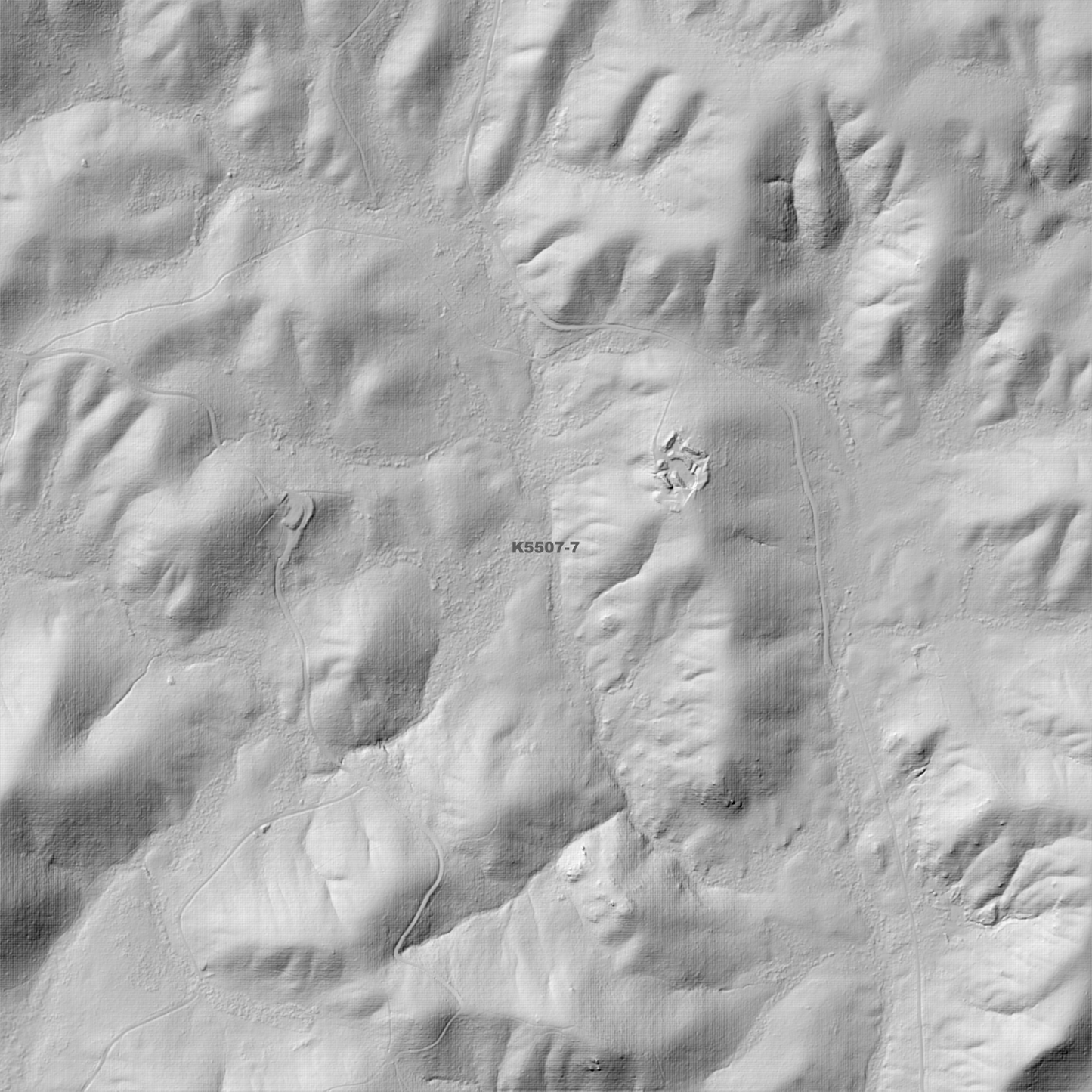 Lottah 1m Digital Elevation Model (K5507-7)