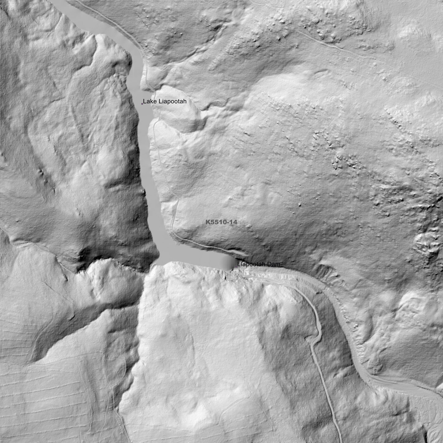 Mossy Marsh 1m Digital Elevation Model (K5510-14)
