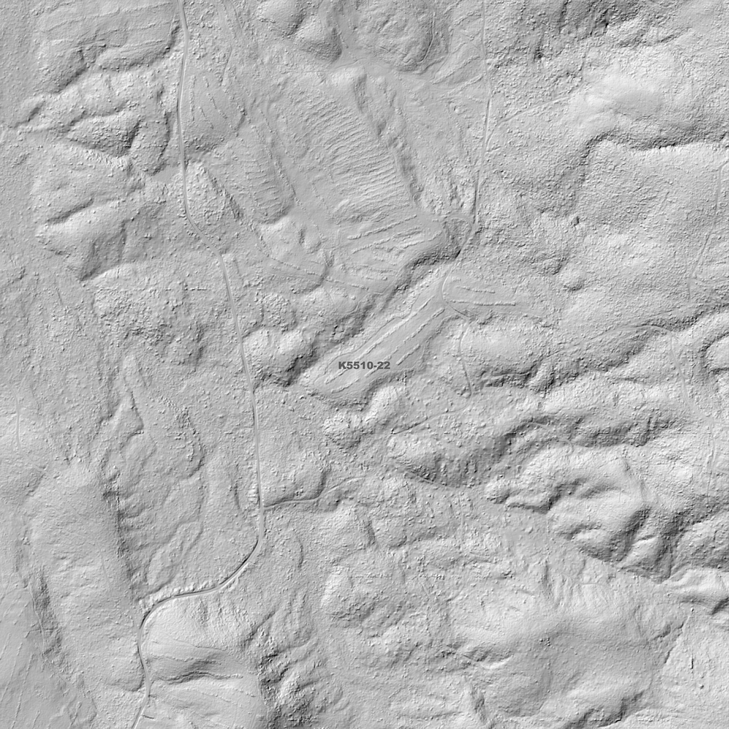 Vale of Rasselas 1m Digital Elevation Model (K5510-22)