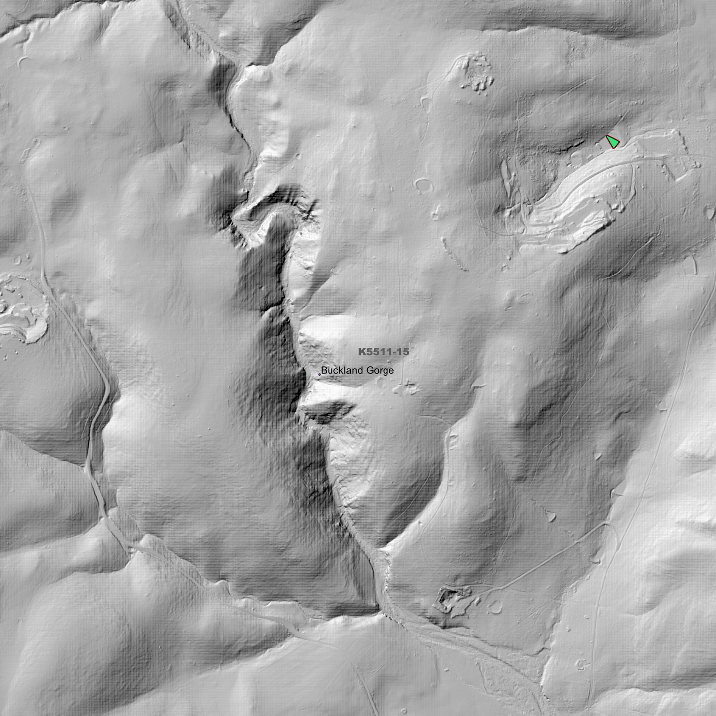 Buckland 1m Digital Elevation Model (K5511-15)