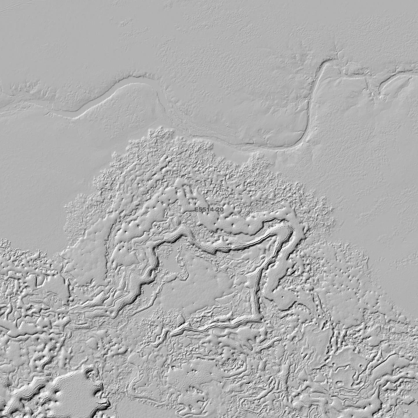 Reeves Lake 1m Digital Elevation Model (E5514-20)