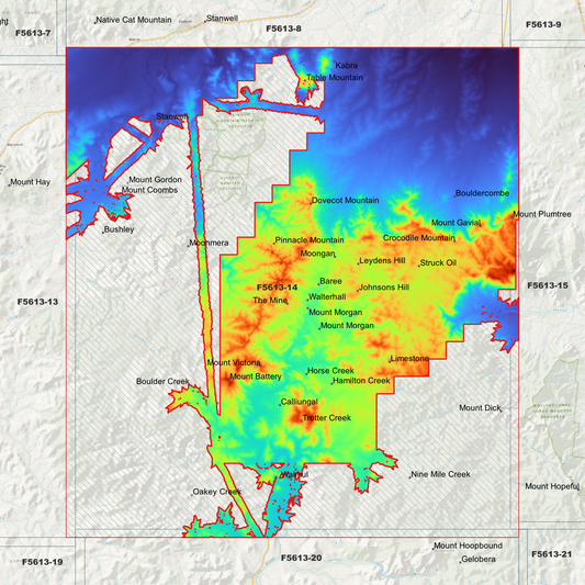 Mount Morgan 1m Digital Elevation Model (F5613-14)
