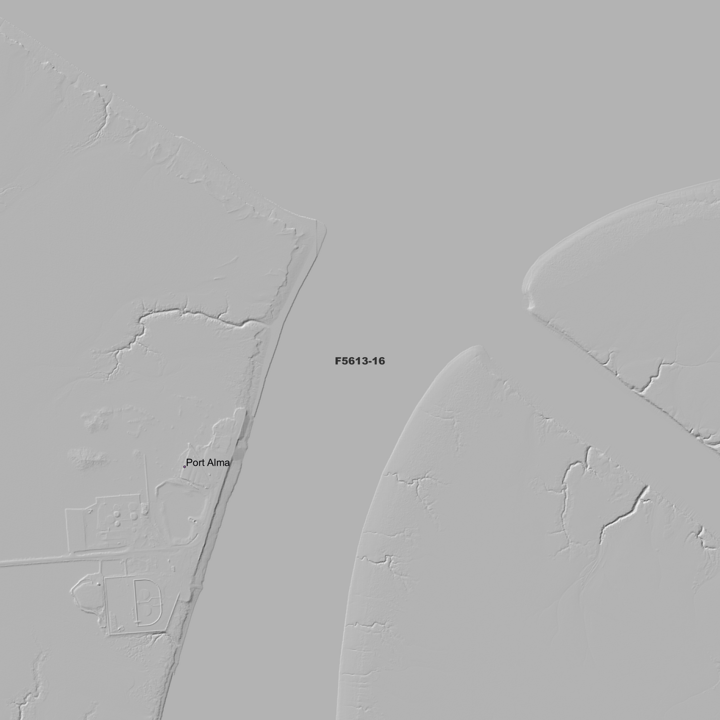 Raglan 1m Digital Elevation Model (F5613-16)