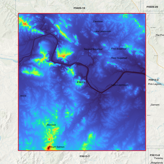 Sugarloaf 1m Digital Elevation Model (F5613-1)