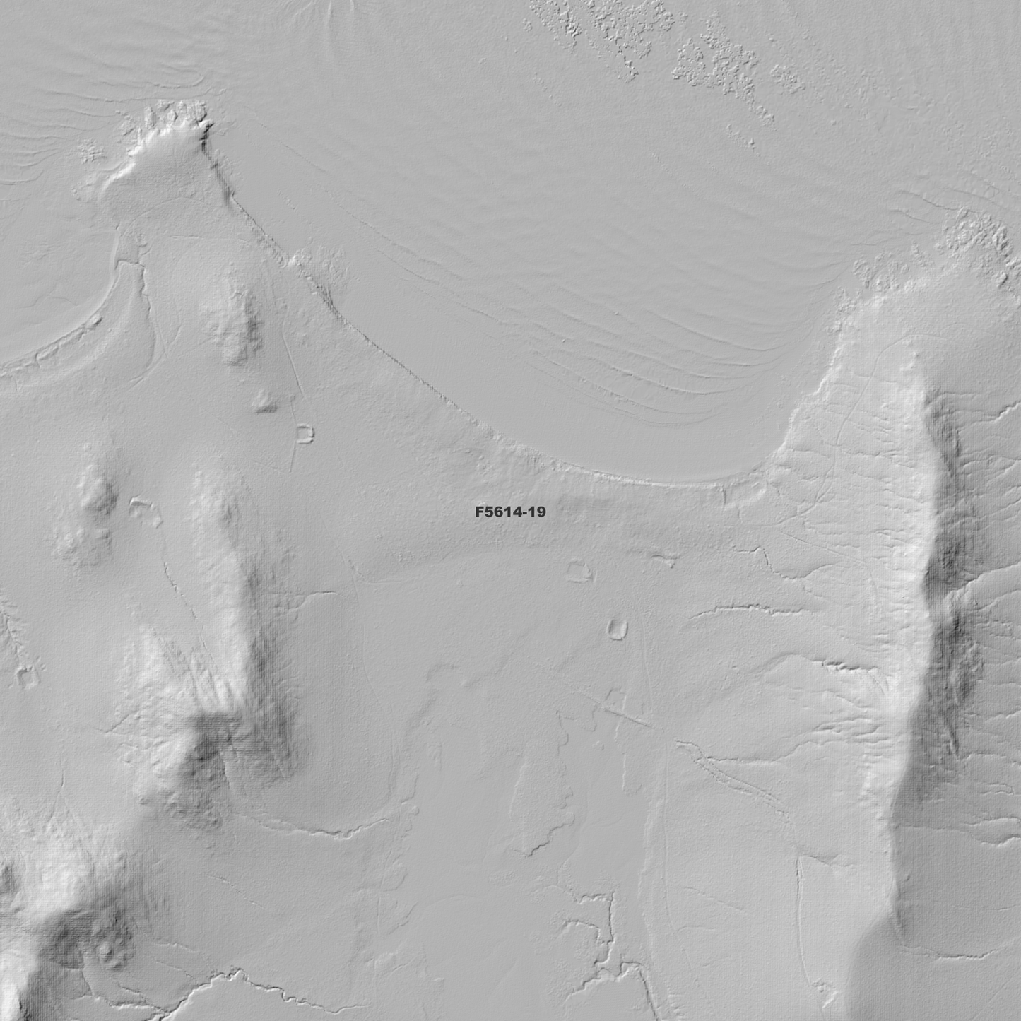 Bray Hills 1m Digital Elevation Model (F5614-19)